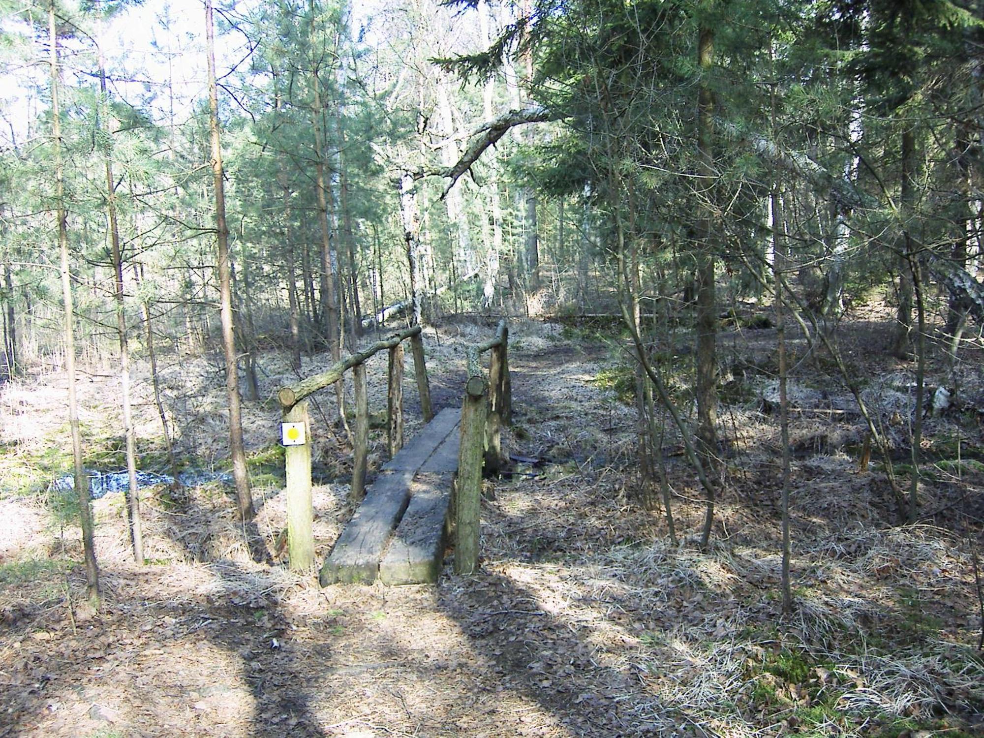 Fewoamglubigsee Wendisch Rietz Exterior foto